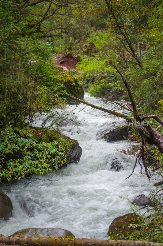 山林河谷湍急的河流