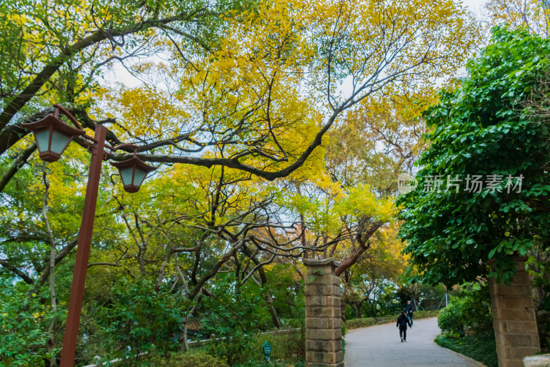 福州乌山历史风貌区秋景