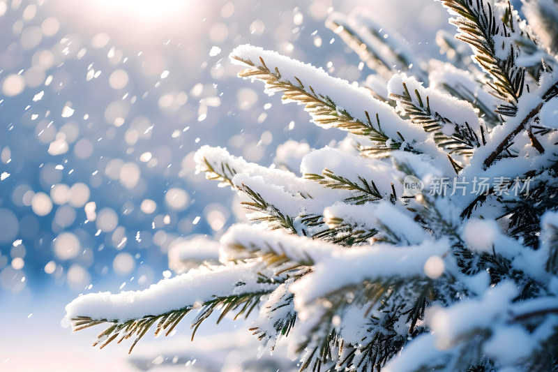 冬天风景大雪背景