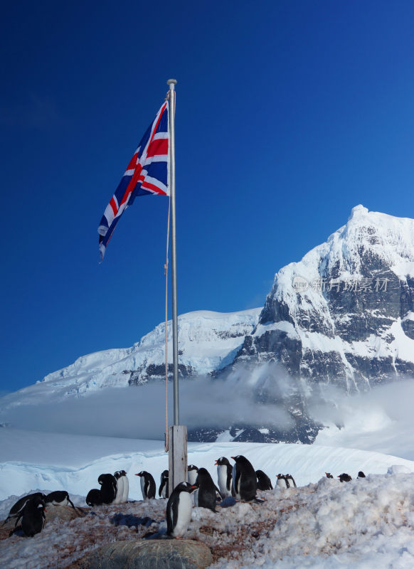 南极企鹅与英国国旗雪山景观