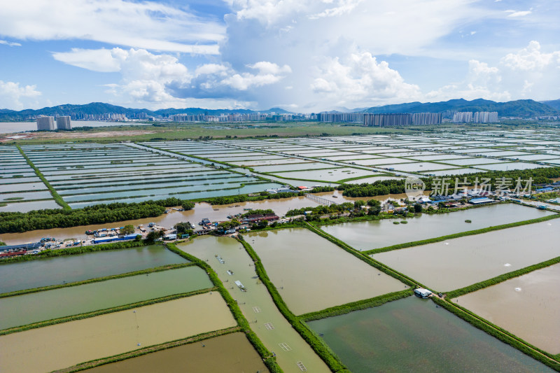 广东省中山市南朗街道崖口村的耕地和养殖场