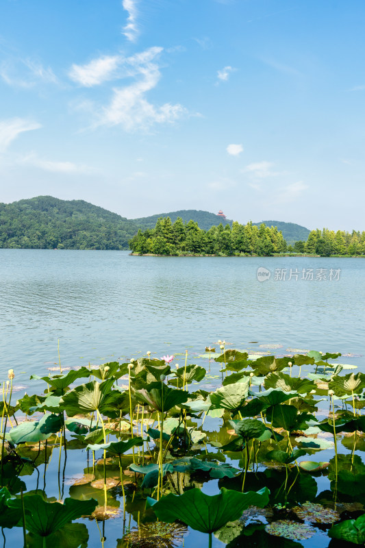 武汉东湖磨山景区远景