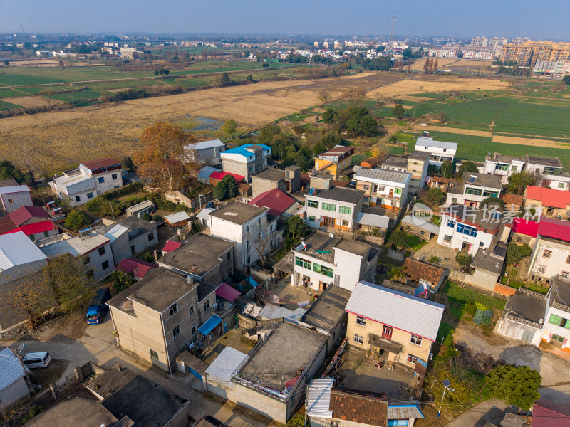 航拍集中农村房屋建筑