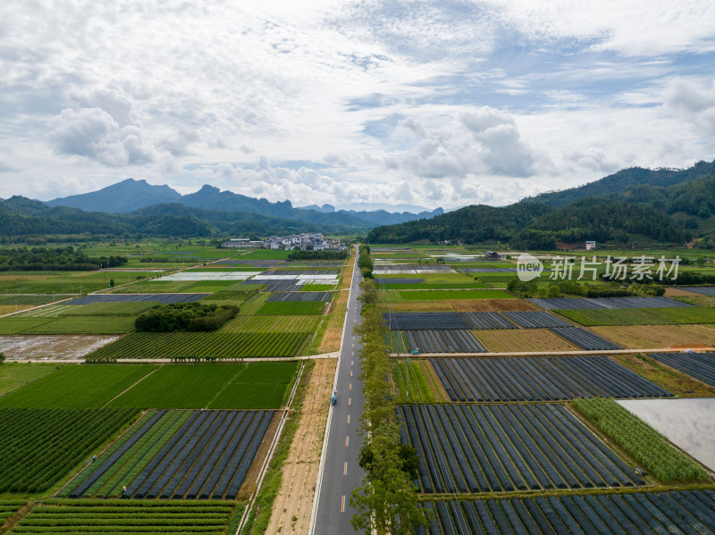 航拍武夷山绿色农田与茶园