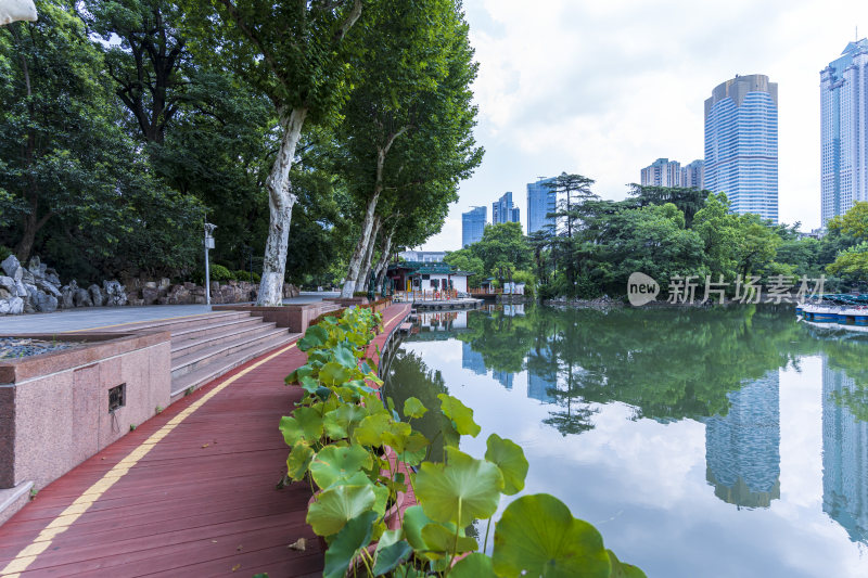 武汉江汉区中山公园风景