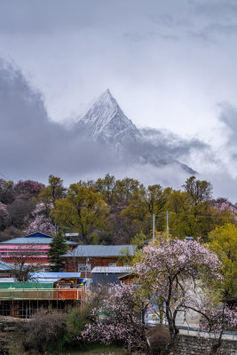 西藏林芝地区藏王故里桃花沟云雾高原村庄