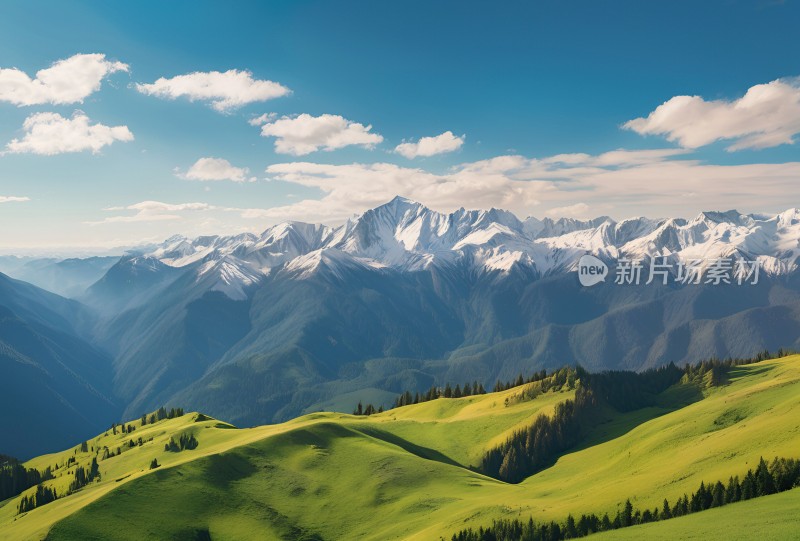 雪山草原森林风景