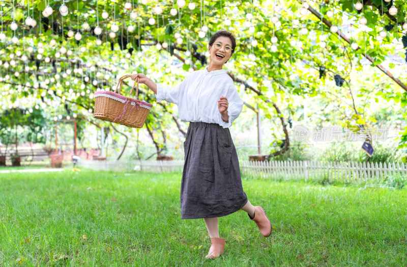 老年女人在果园采摘葡萄