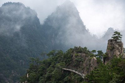 云海中的大明山