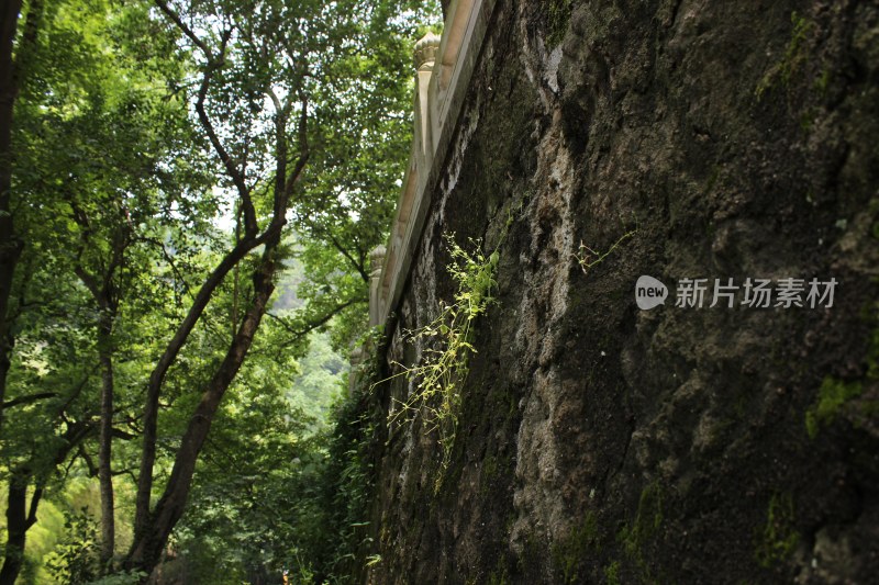 乡村风景