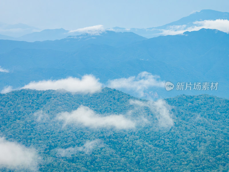 海南乐东县尖峰岭国家森林公园热带雨林