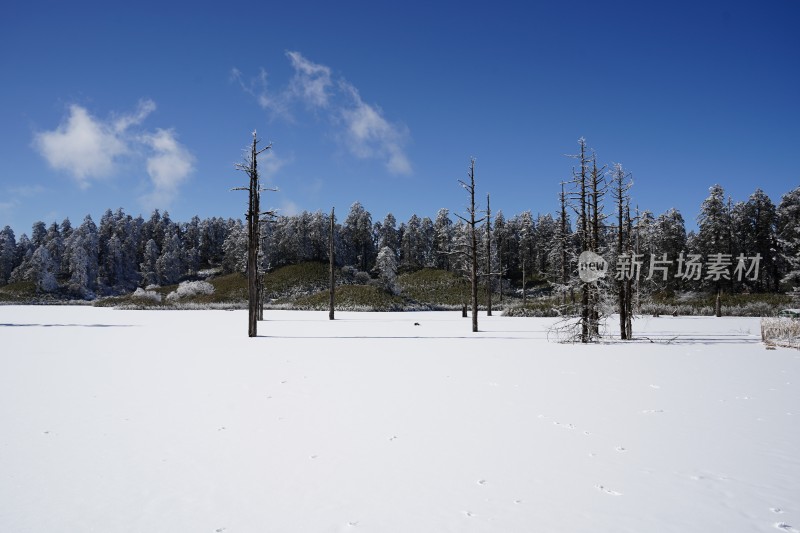 四川眉山瓦屋山景区云海冬日雪景下的枯树