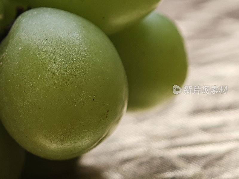 青提特写展示果实饱满的青提近景