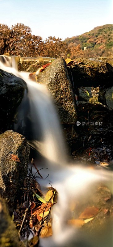 山间溪流与落叶石头景观