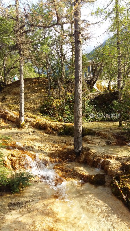 四川黄龙风景 (9)