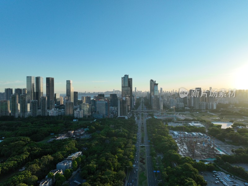 航拍深圳香蜜湖城市风光