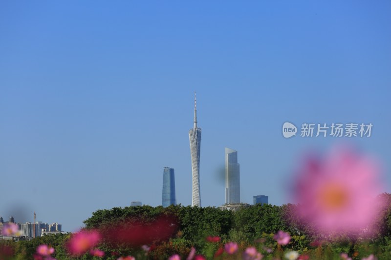 广州城市高楼与前景花卉景观