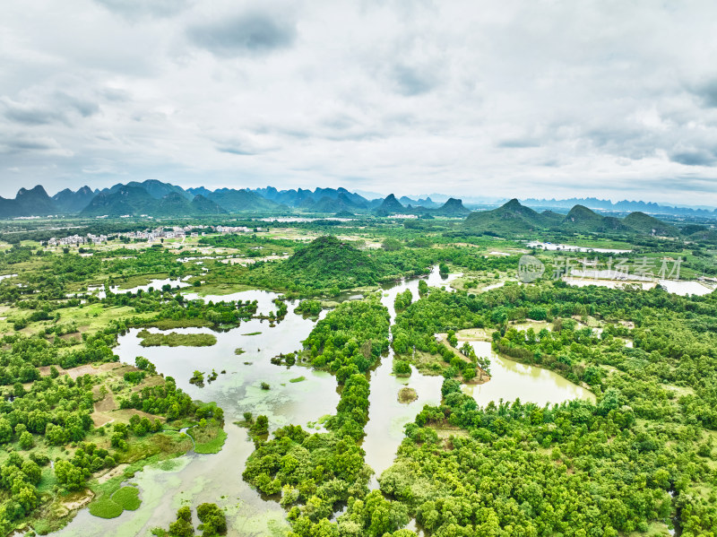 桂林会仙湿地