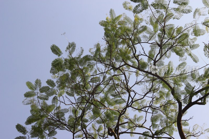 广东惠州：西湖景区