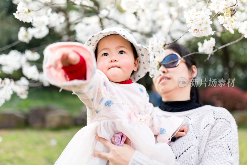 快乐年轻亚洲母亲抱着可爱小女儿看美丽樱花