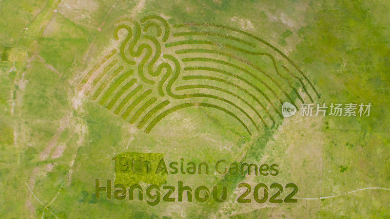 杭州亚运会地面标志