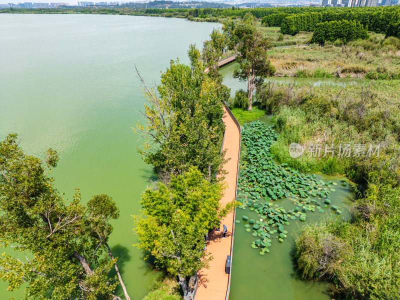 航拍昆明滇池捞鱼河湿地公园景观