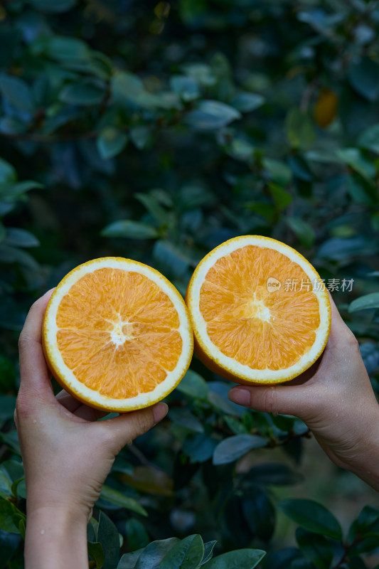 赣南脐橙 橙子 脐橙 新鲜脐橙 橙子脐橙