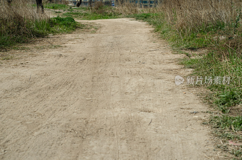 农村的土路上积着厚厚的尘土