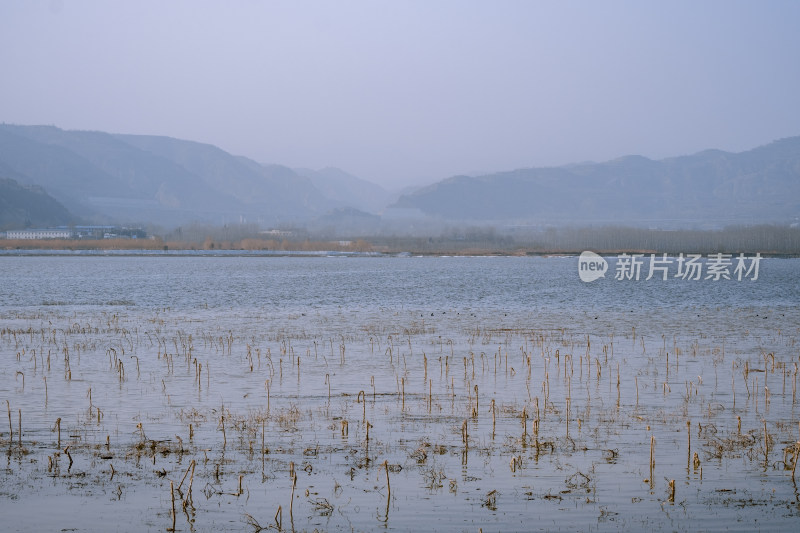 冬天三门峡陕州公园黄河风光