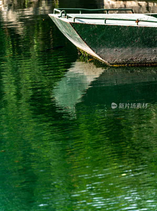 夏天的济南五龙潭公园景观