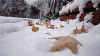 雪中的长椅