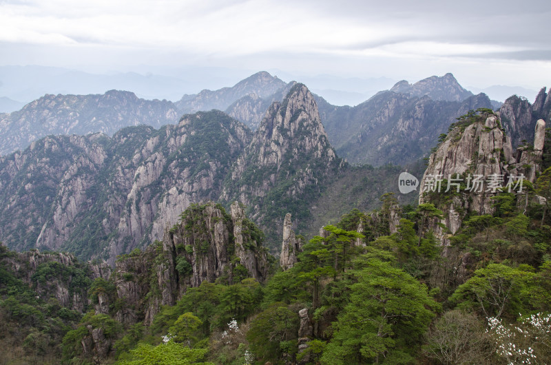 黄山松崖绝壁 奇松怪石 峰峦叠嶂