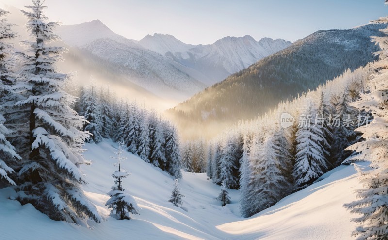 冬季森林白雪覆盖风景