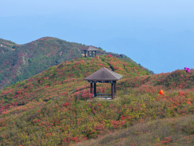 长沙市浏阳大围山杜鹃花海风光