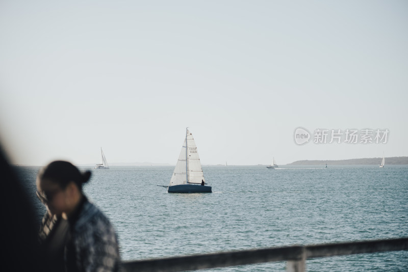 新西兰奥克兰海港码头 帆船城市景色