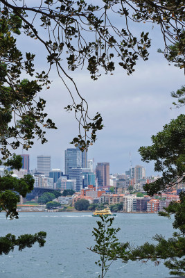 悉尼城市风景