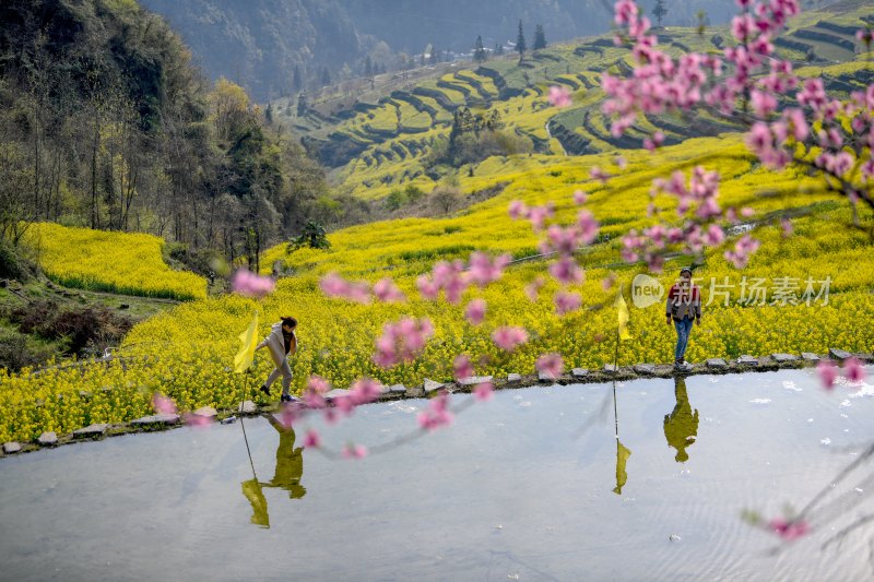 重庆酉阳：三月花海千氹田