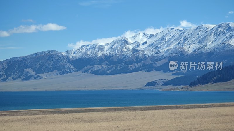 雪山下蓝色湖泊旁的开阔草地