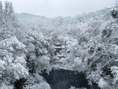 爱晚亭雪景