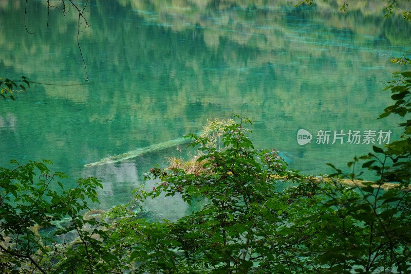 四川阿坝藏族羌族自治州九寨沟景区