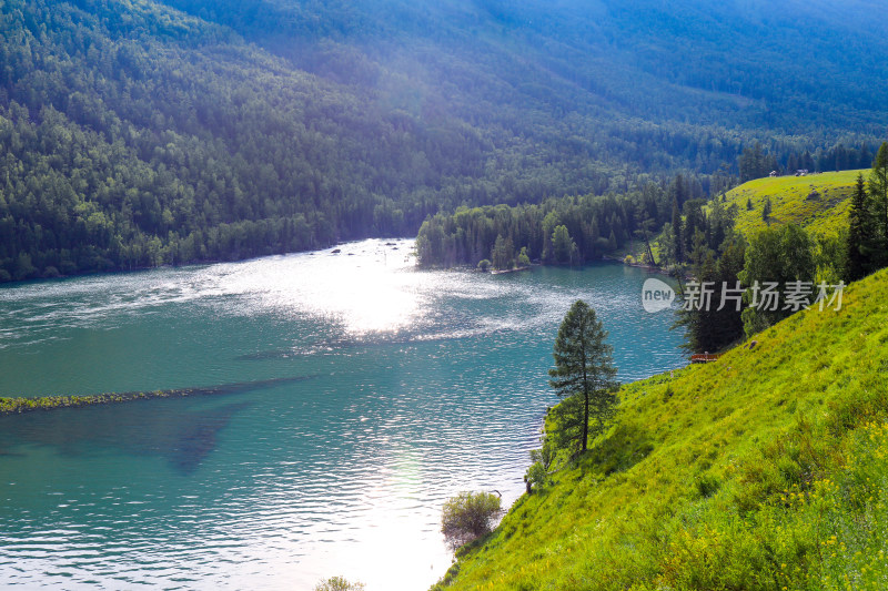 新疆阿勒泰喀纳斯卧龙湾森林河流自然风光