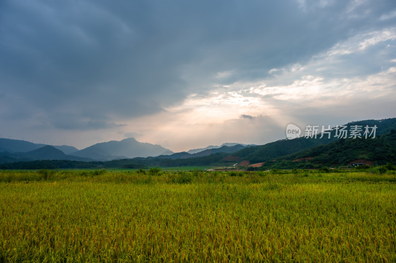 高山田野景观