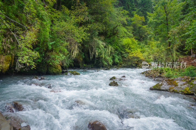 山林河谷湍急的河流