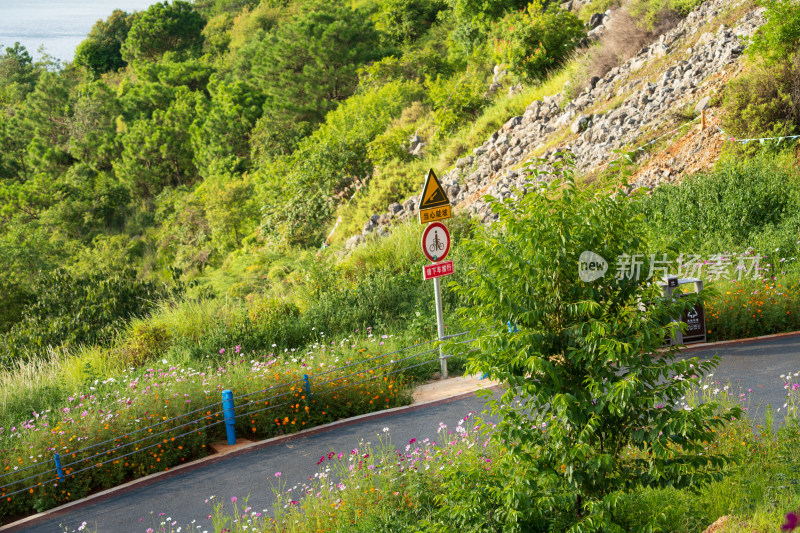 山间小路旁的多彩植被景色