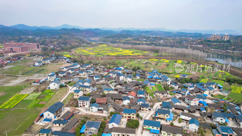 美丽乡村田园乡村振兴农业种植航拍