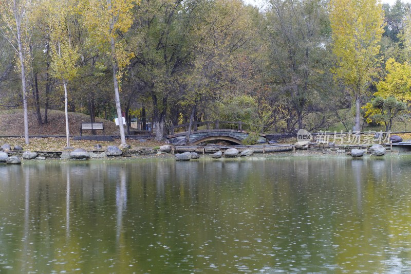 秋季湖边树林石桥风景