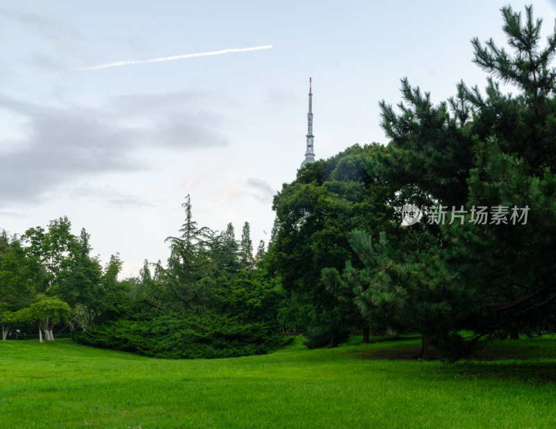 青岛中山公园，夏天的青草绿树
