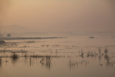 日出时的孟子湖湿地湖泊景观