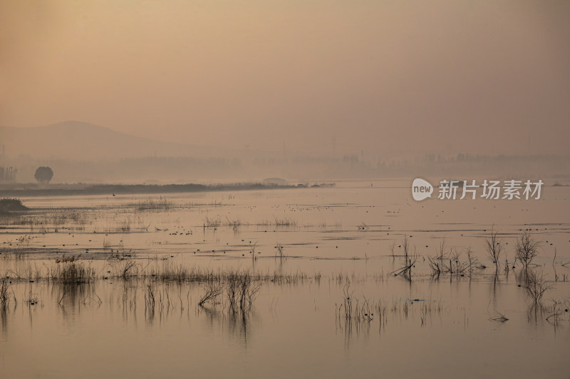 日出时的孟子湖湿地湖泊景观