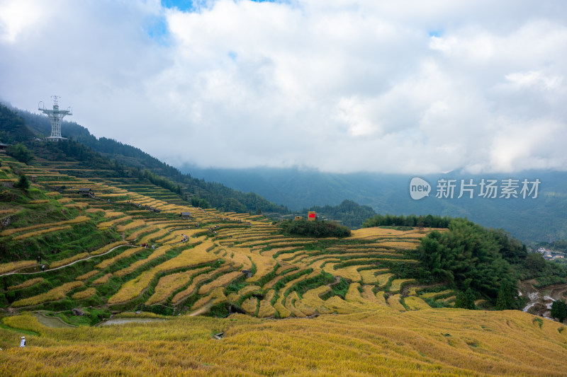 浙江丽水云和梯田景区风光